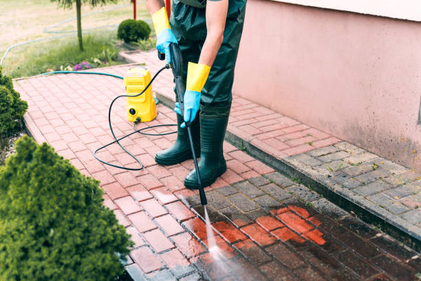 Best Dumpster Area Cleaning  in La Paloma, TX